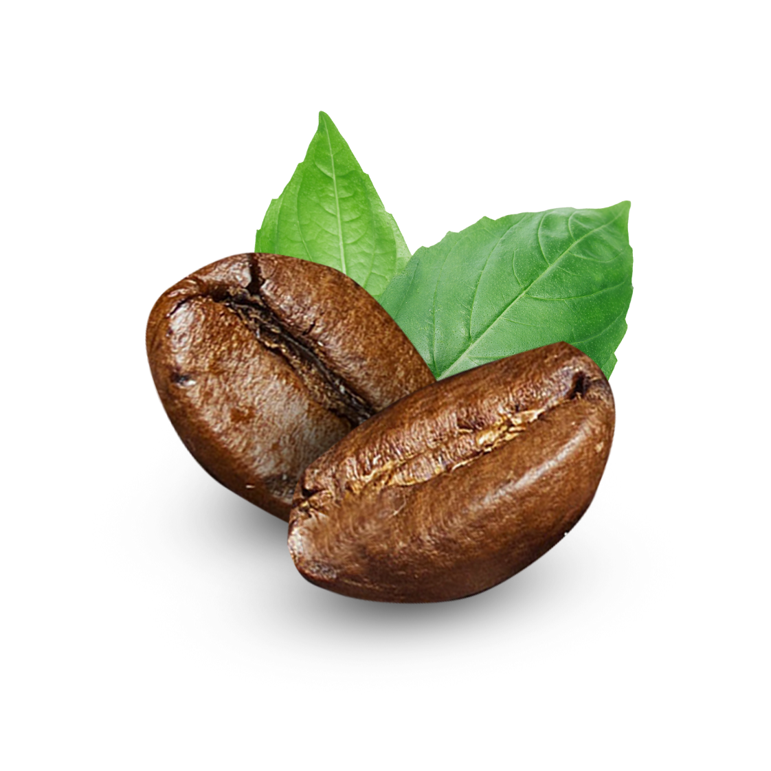 Kahve & Kahveli İçecekler