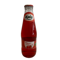Kula Orman Meyveli Aromalı Maden Suyu 200 ml