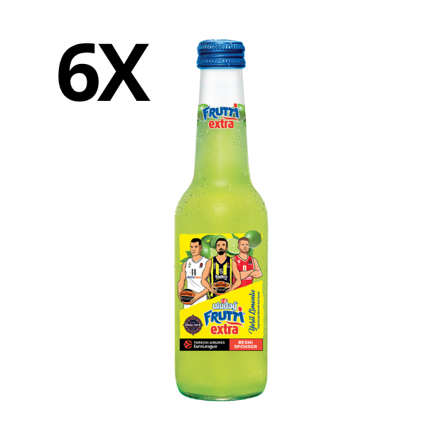 Uludağ Frutti Extra 6X250 ml
