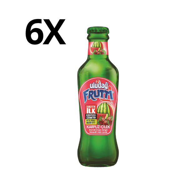 Uludağ Frutti 6X200 ml