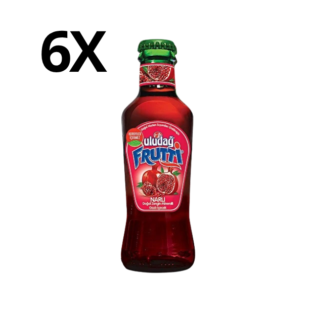 Uludağ Frutti 6X200 ml